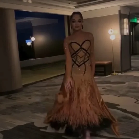 Luxury Golden Ballroom Feathered Dance Gown - Picture 4 of 6